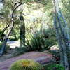 UNLV Desert Landscape Gardens