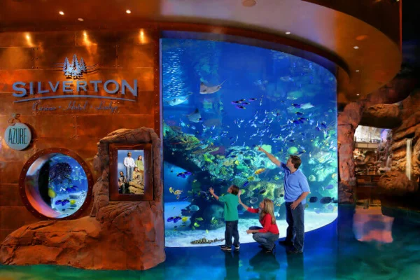 This is the Silverton Mermaid Aquarium