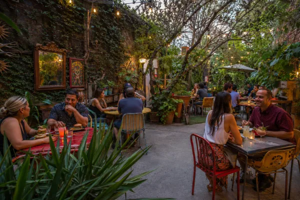 Guests dine among plants, artwork, string lights, and eclectic furnishings on the garden patio at Park on Fremont.