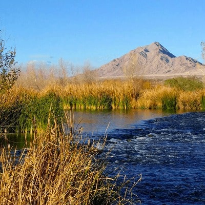 Clark County Wetlands Park