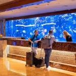 Acuario de arrecife de coral Mirage Hotel Las Vegas