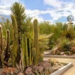 Las Vegas Springs Preserve Botanical Gardens