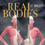 REAL BODIES