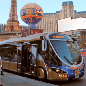 Las Vegas Buses