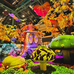 Bellagio Conservatory 2023 / Lunar New Year / Chinese New Year / Las Vegas  2023 