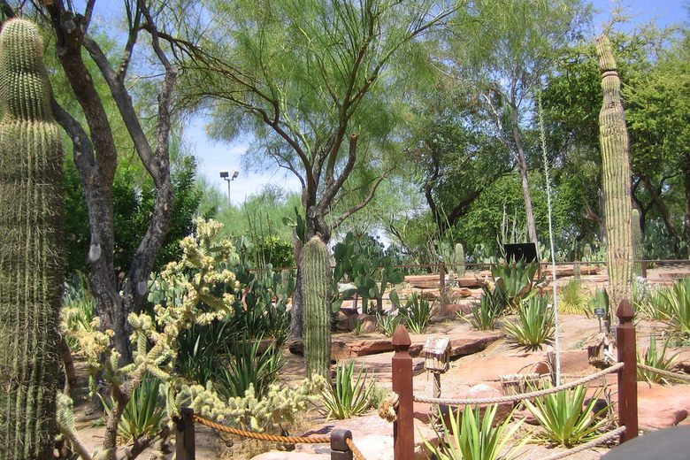 Ethel M cacti Garden