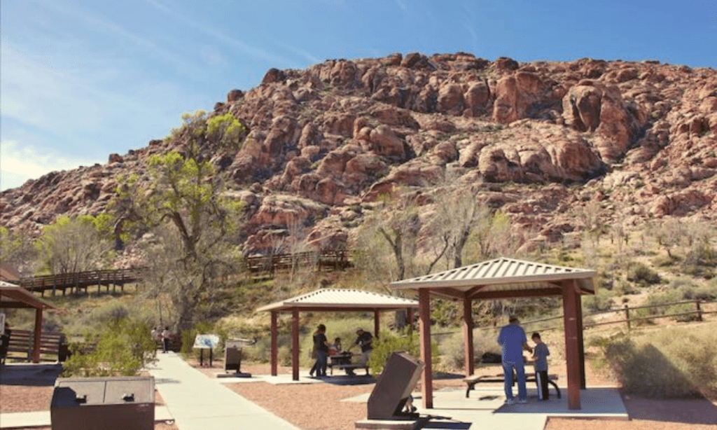 Calico Basin Red Springs at Red Rock Canyon picnic area