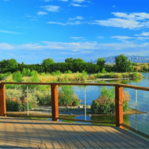 Henderson Bird Viewing Preserve
