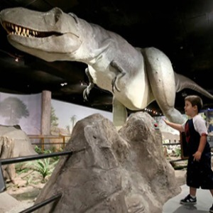 Las Vegas Natural History Museum tickets