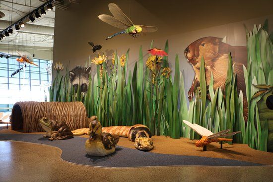 wetlands park nature center in las vegas