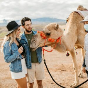 Camel Rides at Camel Safari Las Vegas