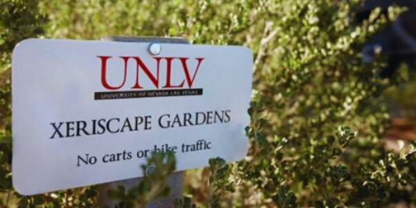 Discover the UNLV Desert Xeriscape Garden Las Vegas