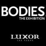 Bodies The Exhibition Luxor Las Vegas
