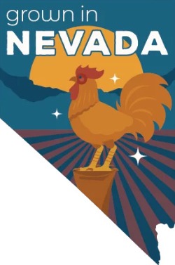 A chicken is crowing on the rooftop of a barn in Nevada in this image for Grown in Nevada