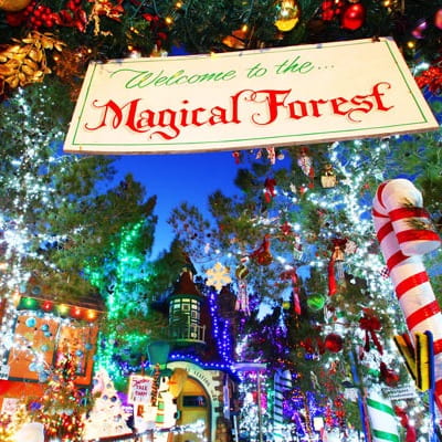 Entering the Opportunity Village's Magical Forest at Christmas