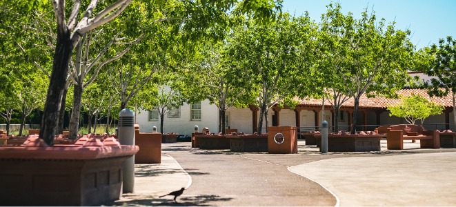 An outside picture of the Historic Fifth Street School in Las Vegas on a sunny day