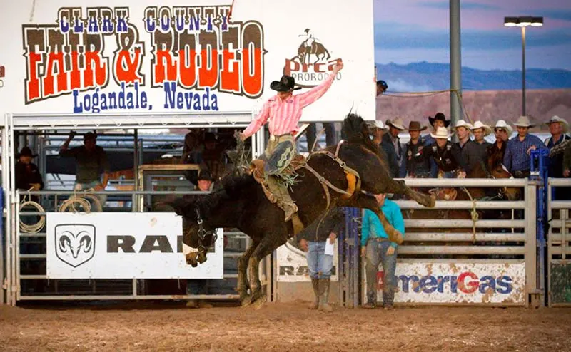 This is a bulrider competiting at the prca rodeo at the clark county fair logandale nevada