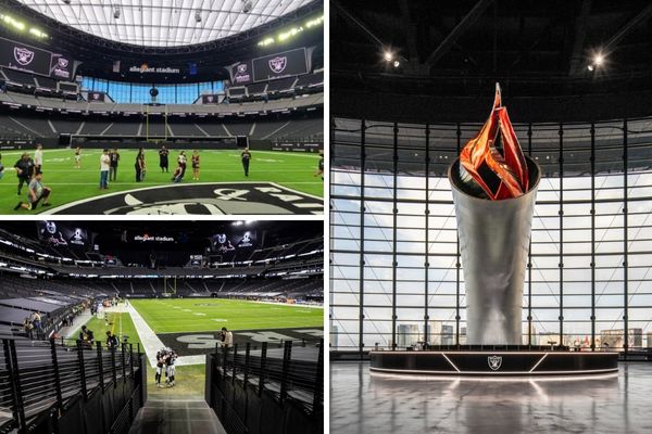 A photo of a visitor standing on the field of Allegiant Stadium during a tour.