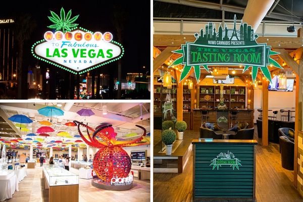 A promotional image for the Canna-Bus Dispensary Tour, showing a group of people inside a party bus with a cannabis theme.