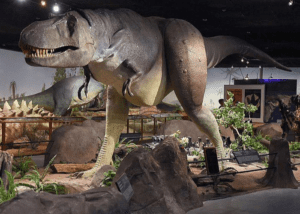 Las Vegas Natural History Museum dinosaur replicas and wildlife exhibits