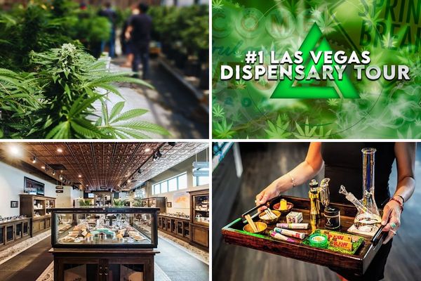 Las Vegas Dispensary Tour Tickets LA Epic LV