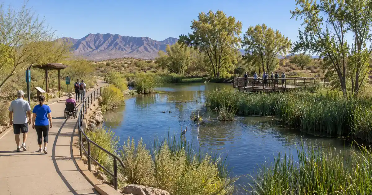Visitors follow an accessible trail beside ponds, reeds and cottonwood habitat at Clark County Wetlands Park in Las Vegas.