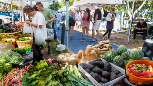A Pop Up Produce Stand at the Bonneville Transit Center in Downtown Las Vegas