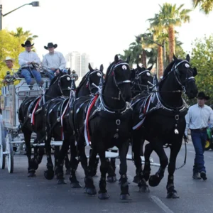 A wagon pulled by horses at the Helldorado Days Parade in Las Vegas