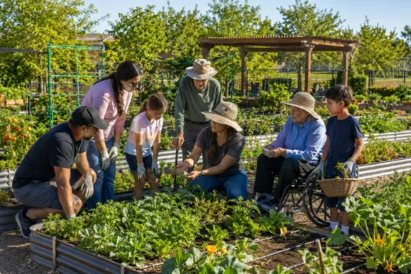 A Garden Farms educator teaches adults and children how to tend seasonal vegetables in raised beds at Pumpkin Park.