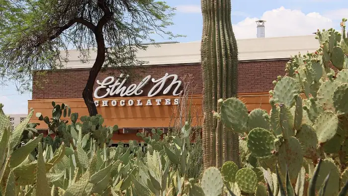 Exterior view of Ethel M Chocolates in Henderson, Nevada, with its signature sign and surrounding desert landscape. The foreground features a variety of cacti and native plants, highlighting the unique setting of this local chocolate factory and botanical garden