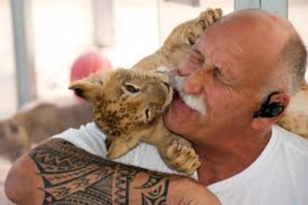 A smiling animal trainer at Lion Habitat Ranch in Henderson, Nevada, affectionately bonding with a playful lion cub indoors. The man wears a white shirt and sports a tribal tattoo on his forearm, highlighting the trust and care between human and animal.