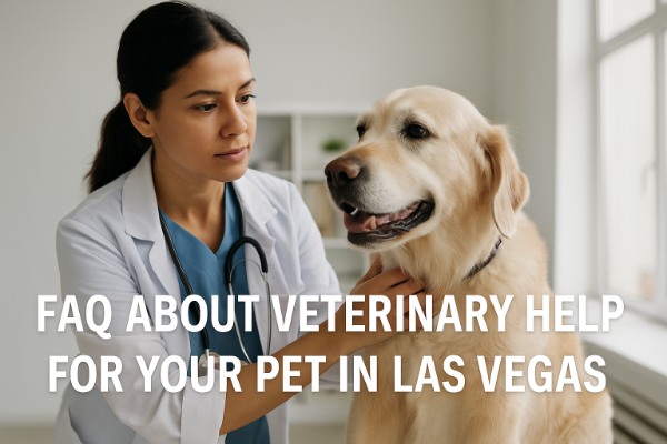 Veterinarian examining a golden retriever during a checkup