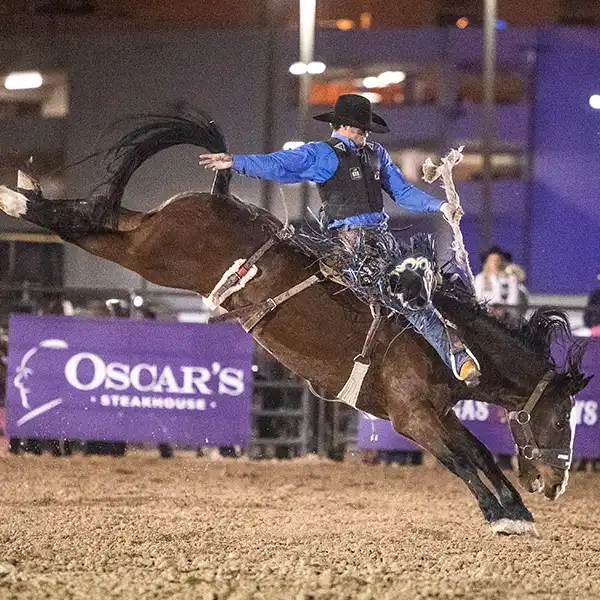 Bucking bronco at Helldorado Days Fall Rodeo in Las Vegas with rider in motion during nighttime event under city lights