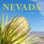 the cover of an edition of Nevada magazine with a bright yellow flower in the desert on a sunny day