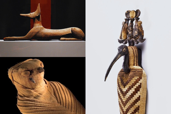 SOULFUL CREATURES Animal Mummies in Ancient Egypt at Bellagio Fine Art Gallery