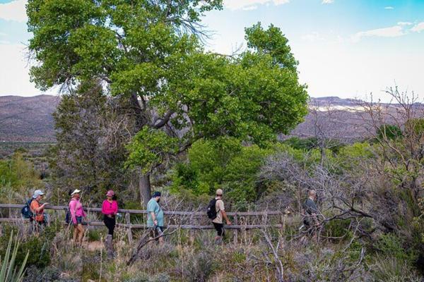 Spring Mountain Ranch Hike Image of Hikers