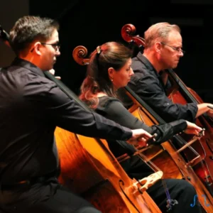 Three double bass players from the Las Vegas Sinfonietta performing in concert, dressed in formal black attire