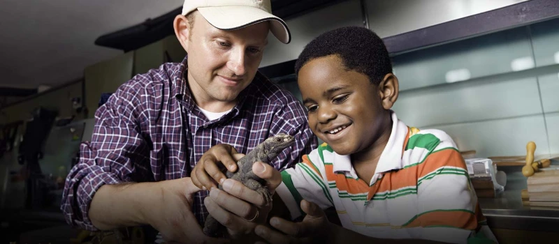 Child interacting with a lizard at the Spring Break Safari at Springs Preserve Las Vegas