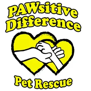 PAWSitive Difference Pet Rescue logo depicting a human hand shaking a dog's paw inside a bright yellow heart graphic for pet adoptions in Las Vegas.