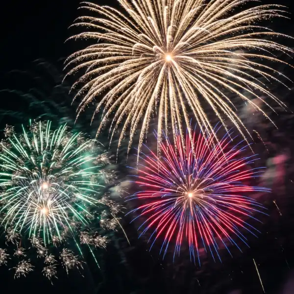 Multi-colored fireworks exploding in the sky