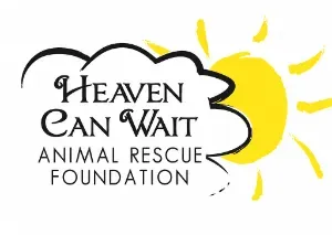 Official logo for Heaven Can Wait Animal Rescue Foundation featuring a stylized cloud and sun emblem supporting pet adoptions in Las Vegas.
