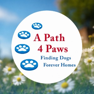 A Path 4 Paws Dog Rescue organization logo supporting pet adoptions in Las Vegas.