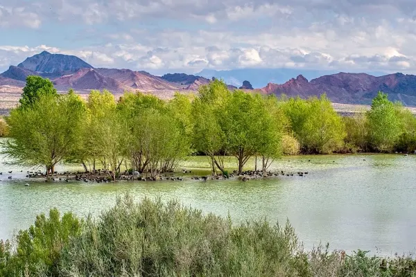 Birding pond, vegetation, and mountain scenery at Henderson Bird Viewing Preserve