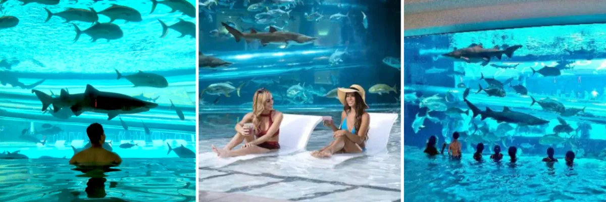 Three views of the shark aquarium and swimming pool complex at Golden Nugget Las Vegas