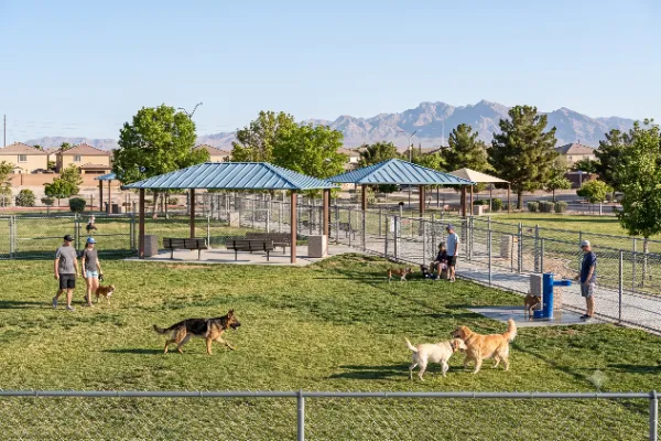 Dogs playing in the fenced Barkin' Basin Park dog areas with shaded seating and mature trees in Las Vegas.