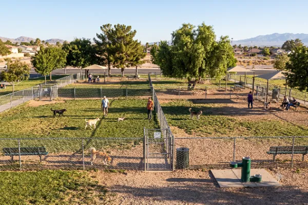 Dogs playing in the fenced dog runs at Desert Breeze Park in Spring Valley, Las Vegas.
