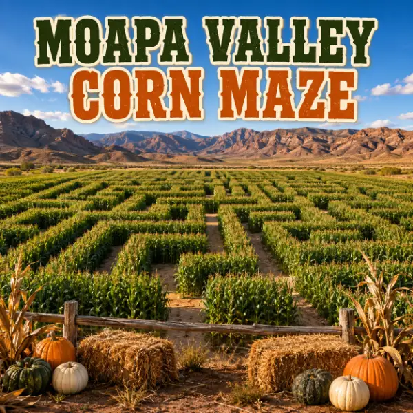 Aerial view of the Moapa Valley Corn Maze with Nevada desert mountains, pumpkins, hay bales, and rustic fall decorations.
