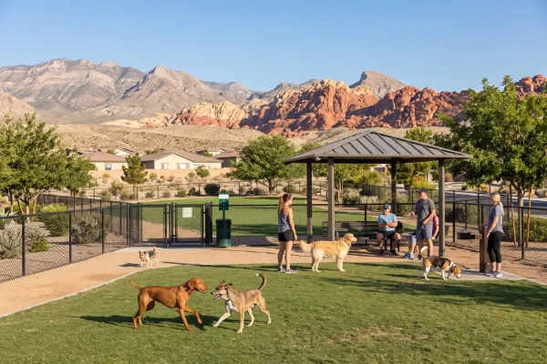 Dogs enjoying a fenced dog park in west Las Vegas with desert landscaping and the Spring Mountains in the background.