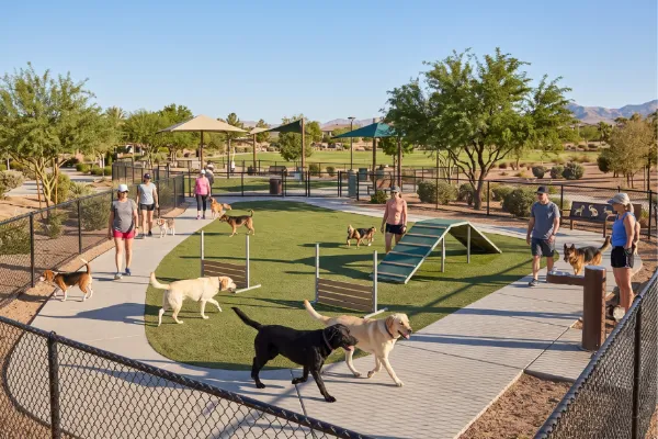 A Siberian Husky and other dogs enjoy the fenced dog park at Veterans Memorial Park in Boulder City, Nevada.