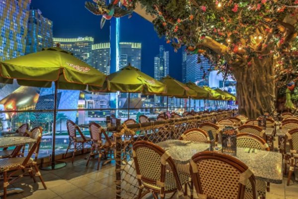 New Year’s Eve at Rainforest Cafe in Las Vegas with jungle decorations and fireworks